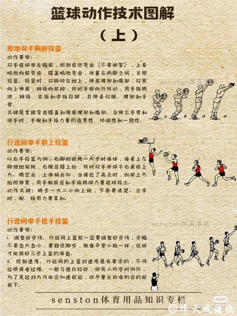 如何参与男篮世界杯下注指南